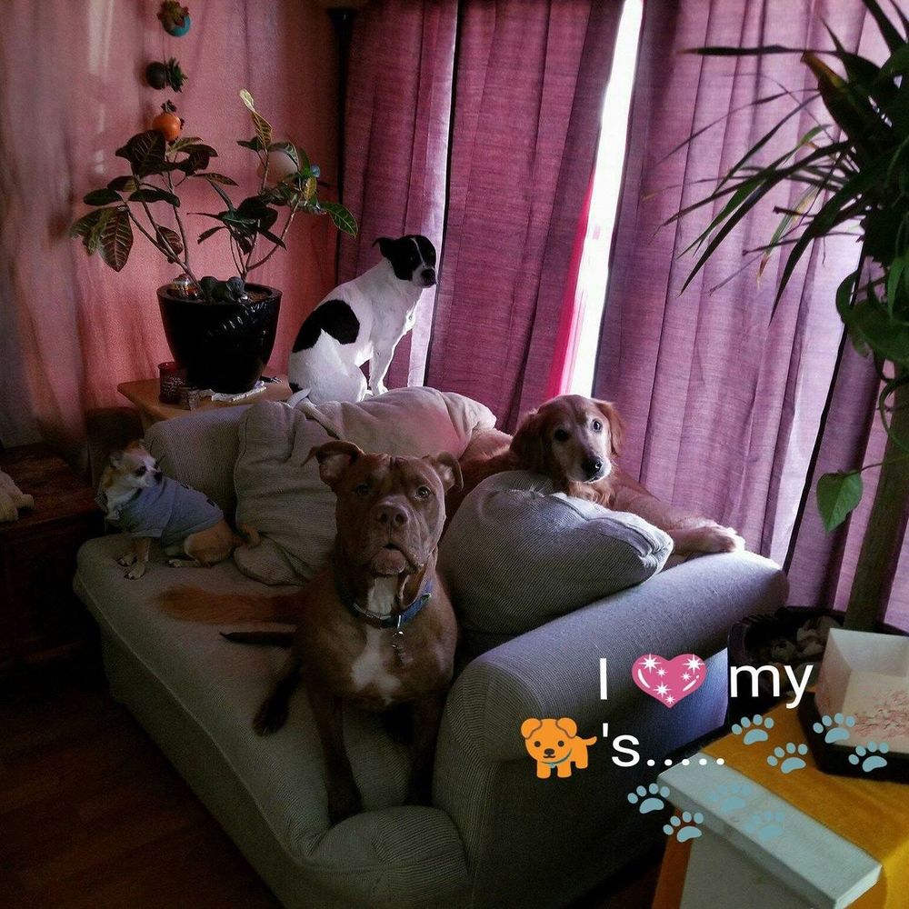 Meet your Posher, Kim